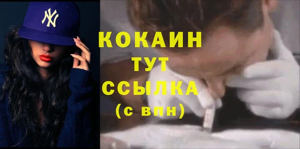 молекула духа Белоозёрский