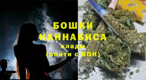 2c-b Белокуриха