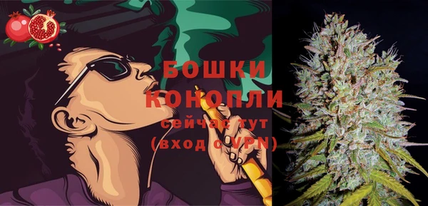 молекула духа Белоозёрский