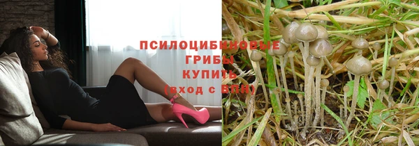 2c-b Белокуриха