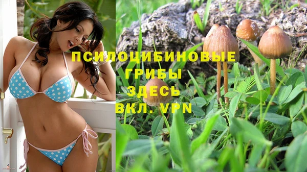 2c-b Белокуриха